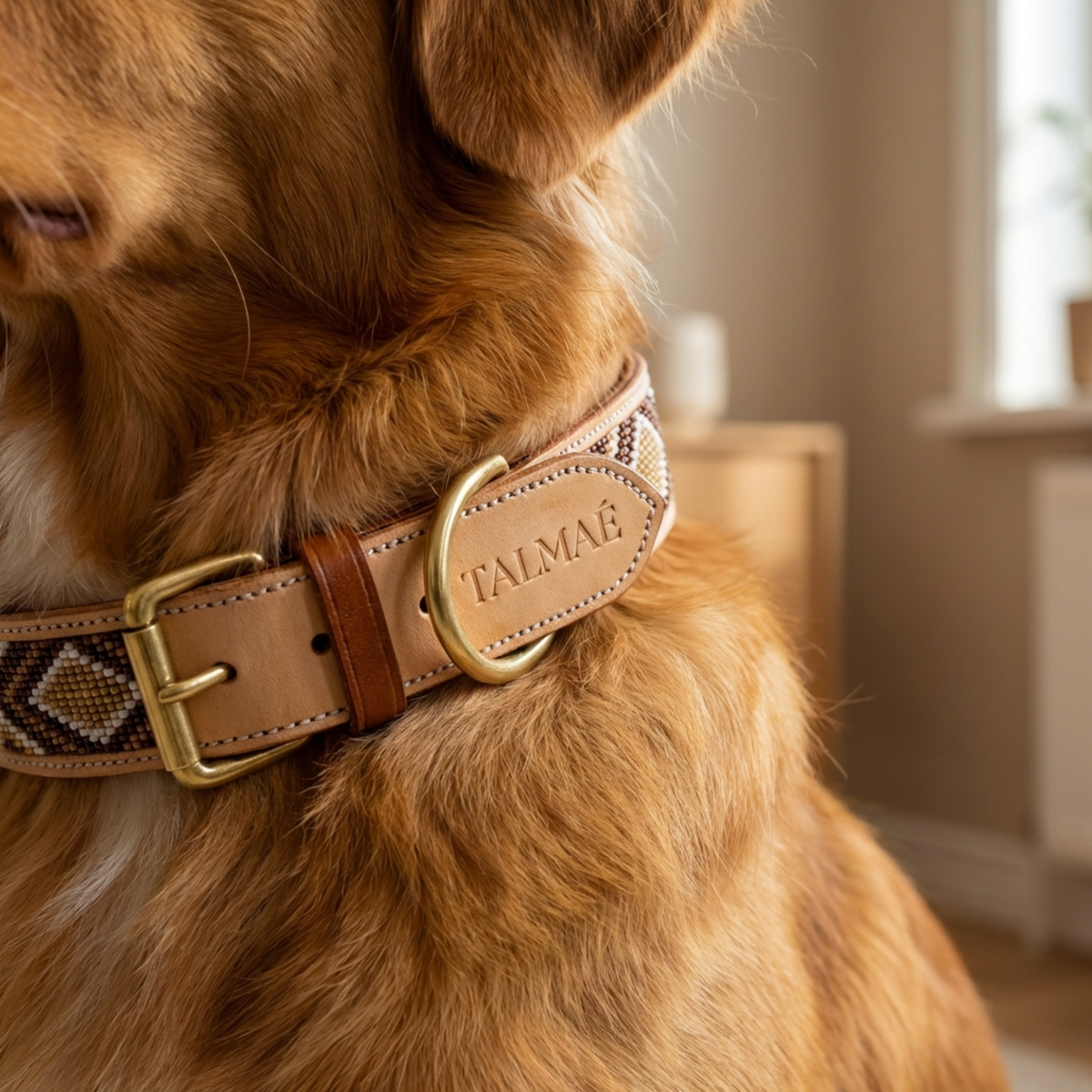 Collier pour Chien – DUNE PERLÉE