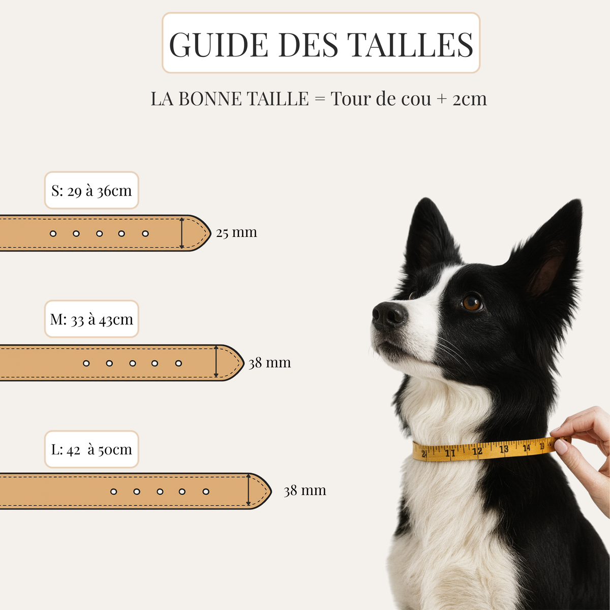 Collier pour Chien – DUNE PERLÉE